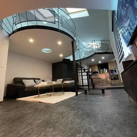 Duplex Avec Jacuzzi + Billard Appartement Mulhouse